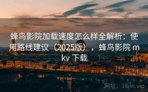 蜂鸟影院加载速度怎么样全解析：使用路线建议（2025版），蜂鸟影院 mkv 下载