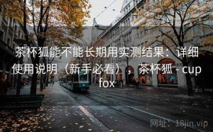 茶杯狐能不能长期用实测结果：详细使用说明（新手必看），茶杯狐 - cupfox