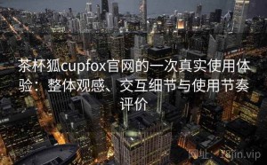 茶杯狐cupfox官网的一次真实使用体验：整体观感、交互细节与使用节奏评价