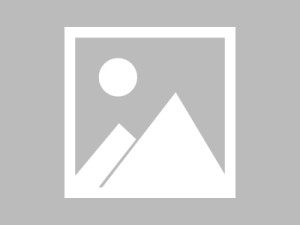 樱花影院官网在线观看到底适不适合长期用？资源更新节奏、分类结构与整体使用体验（整理版）