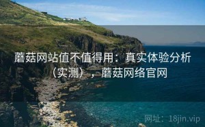 蘑菇网站值不值得用：真实体验分析（实测），蘑菇网络官网