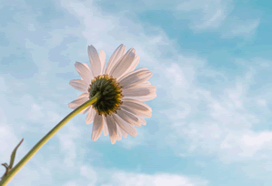 可可影视app和同类相比怎么样：真实用户反馈，可可tv官方