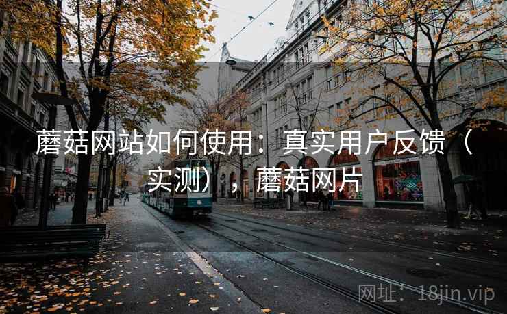 蘑菇网站如何使用：真实用户反馈（实测），蘑菇网片