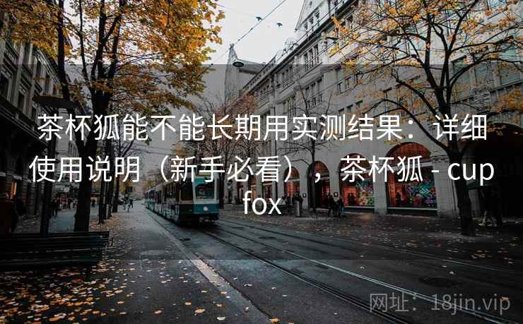 茶杯狐能不能长期用实测结果：详细使用说明（新手必看），茶杯狐 - cupfox
